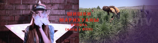 ГАЛЛЮЦИНОГЕННЫЕ ГРИБЫ Армянск
