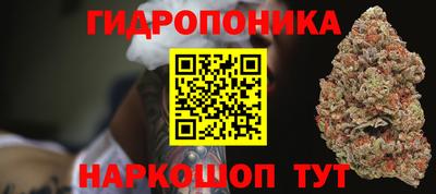 a pvp Ставрополь
