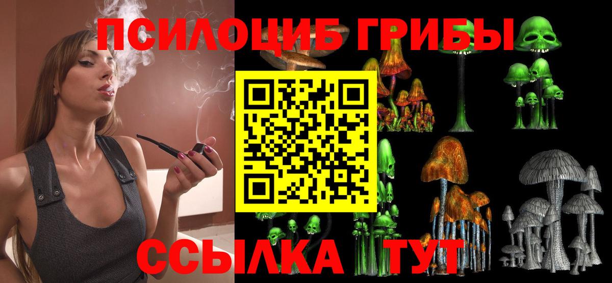 магазин продажи   Вход с VPN  Родники  Псилоцибиновые грибы мицелий 